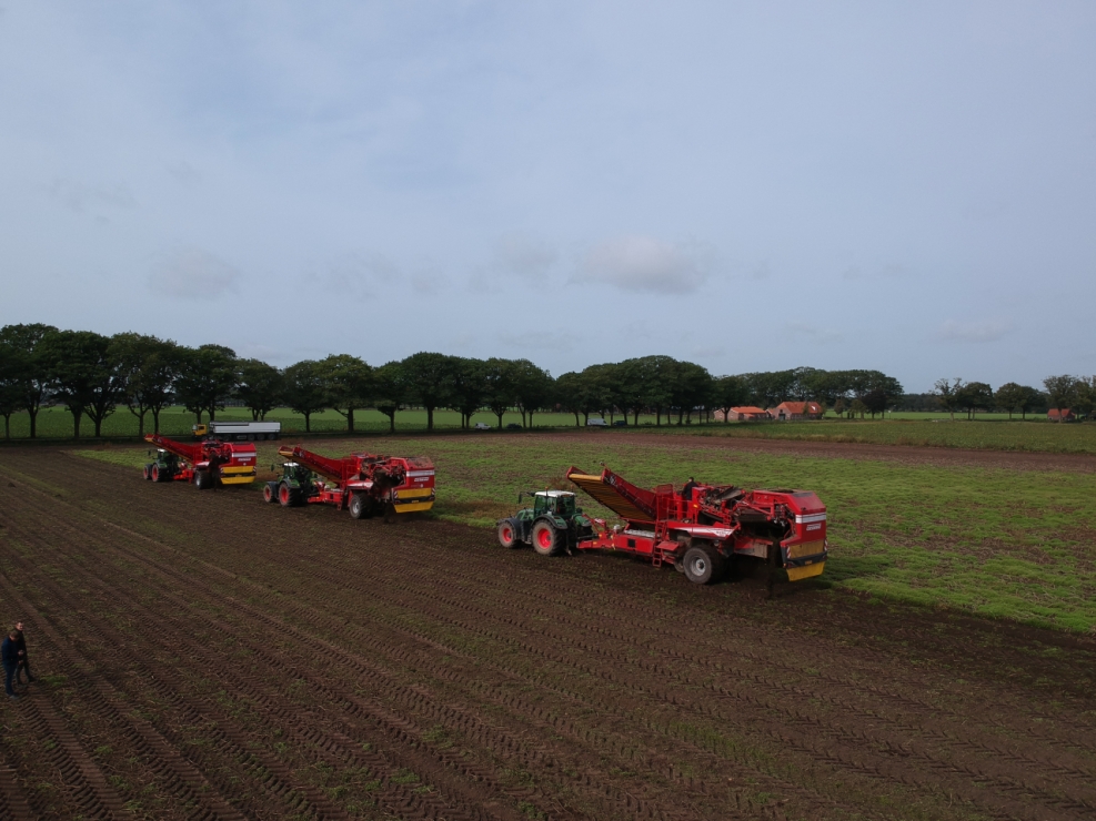 Tractoren oogsten aardappelen op een veld.