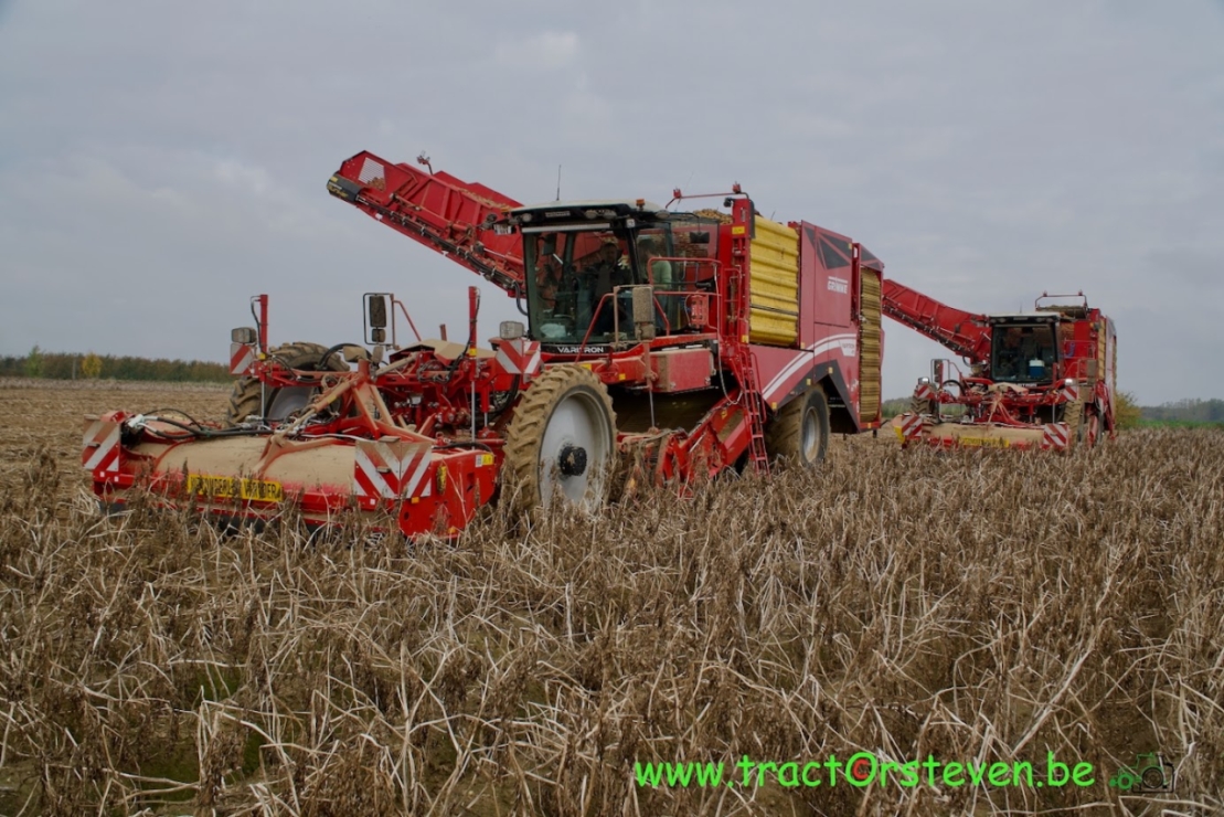 Rode landbouwmachine oogst gewas op akker.